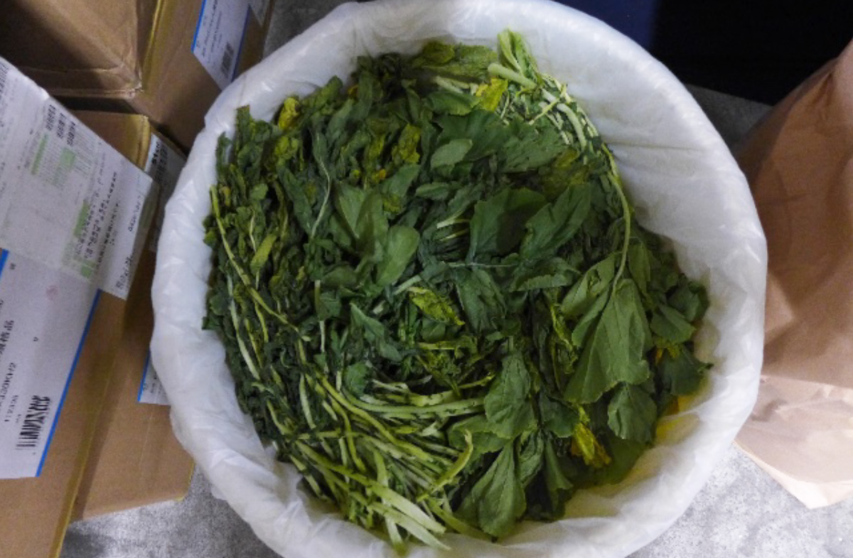 干大根