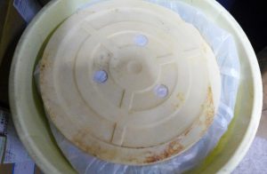 干大根